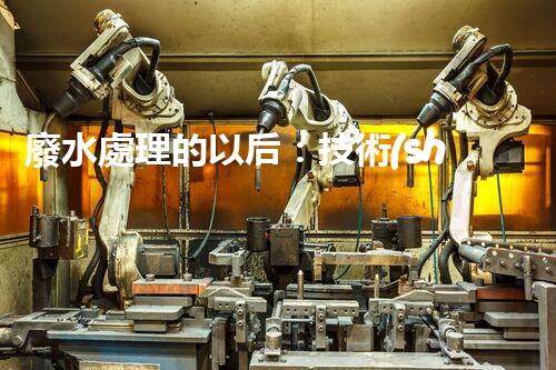 廢水處理的以后：技術(shù)創(chuàng)新與環(huán)境挑戰(zhàn)？
